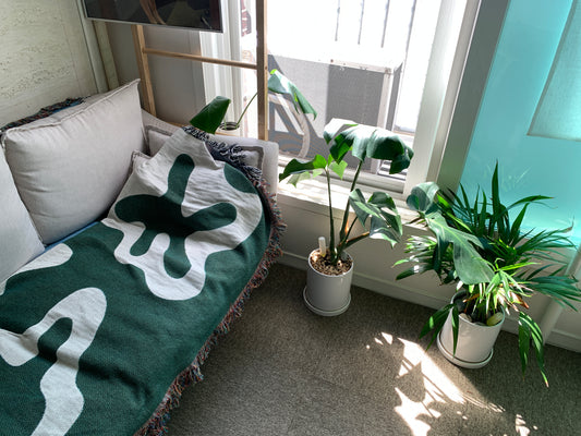 Green Oasis: 5 Stunning Indoor Plants to Elevate Your Apartment's Aesthetic