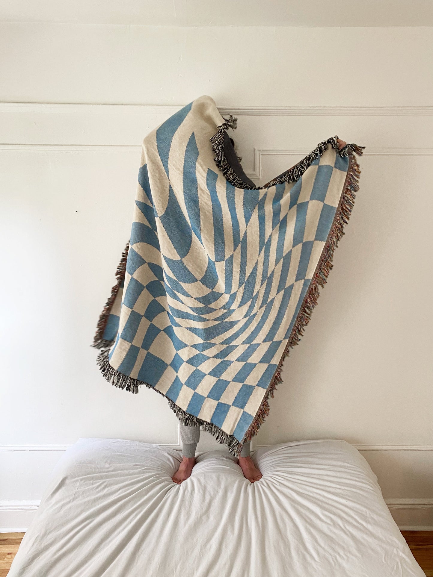 Groovy Grid Woven Throw Blanket