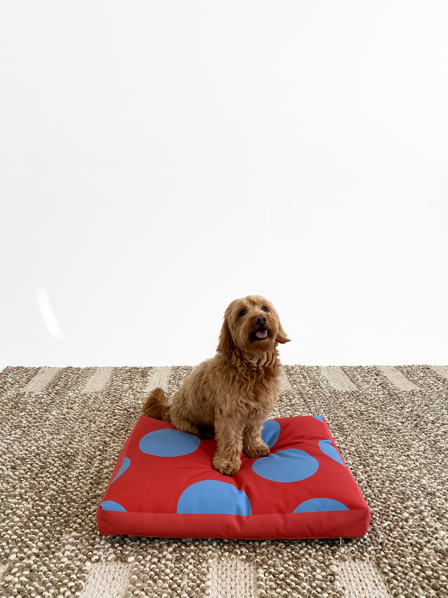 Clifford Pet Bed