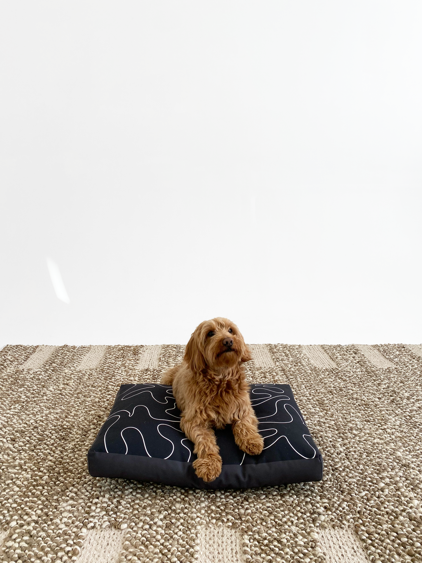 Dancing Shapes Pet Bed