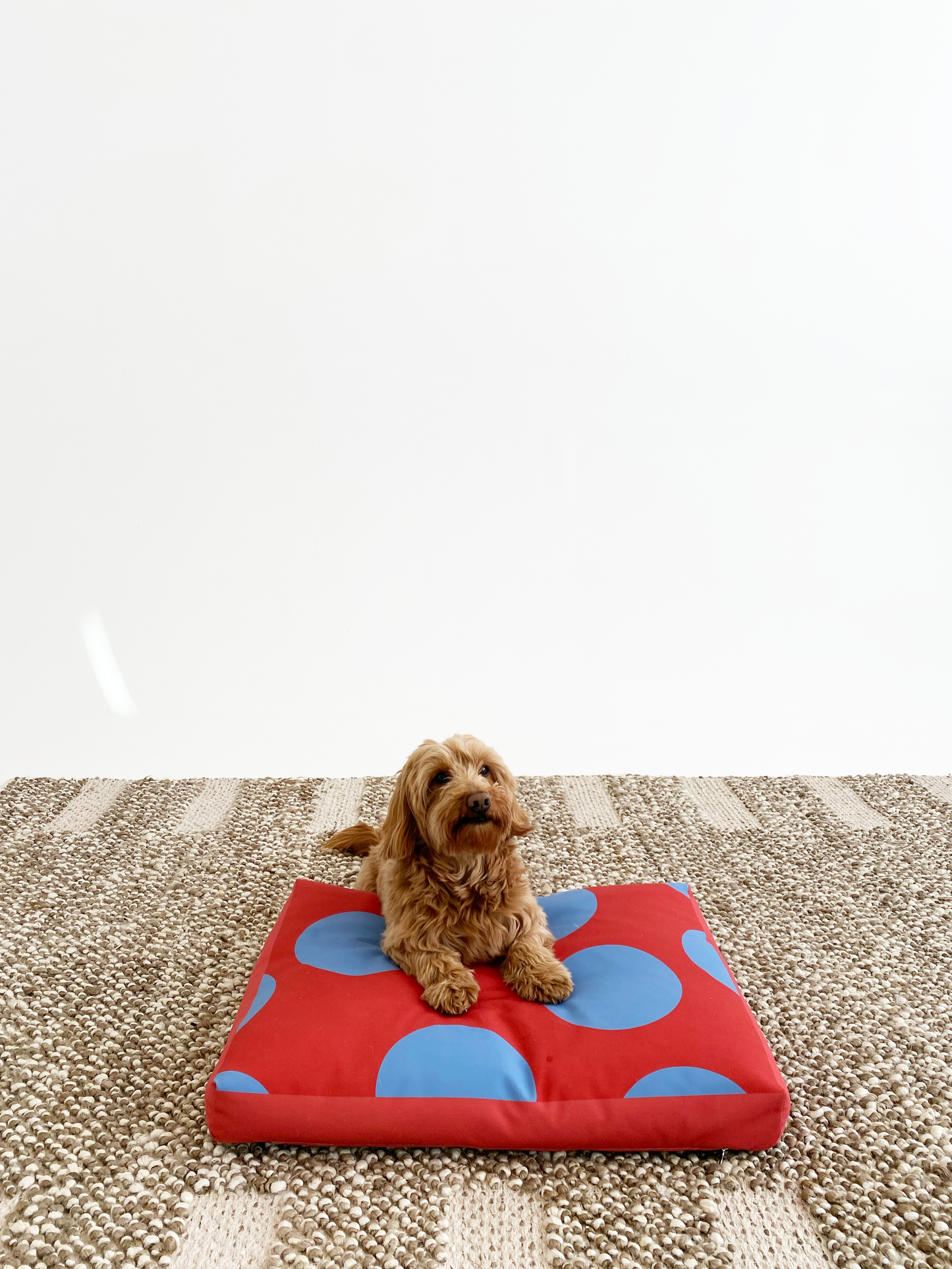 Clifford Pet Bed