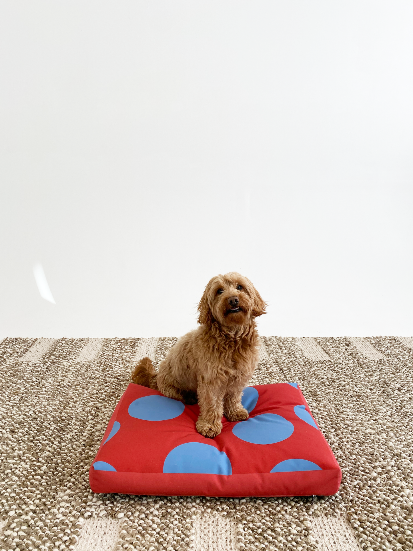 Clifford Pet Bed