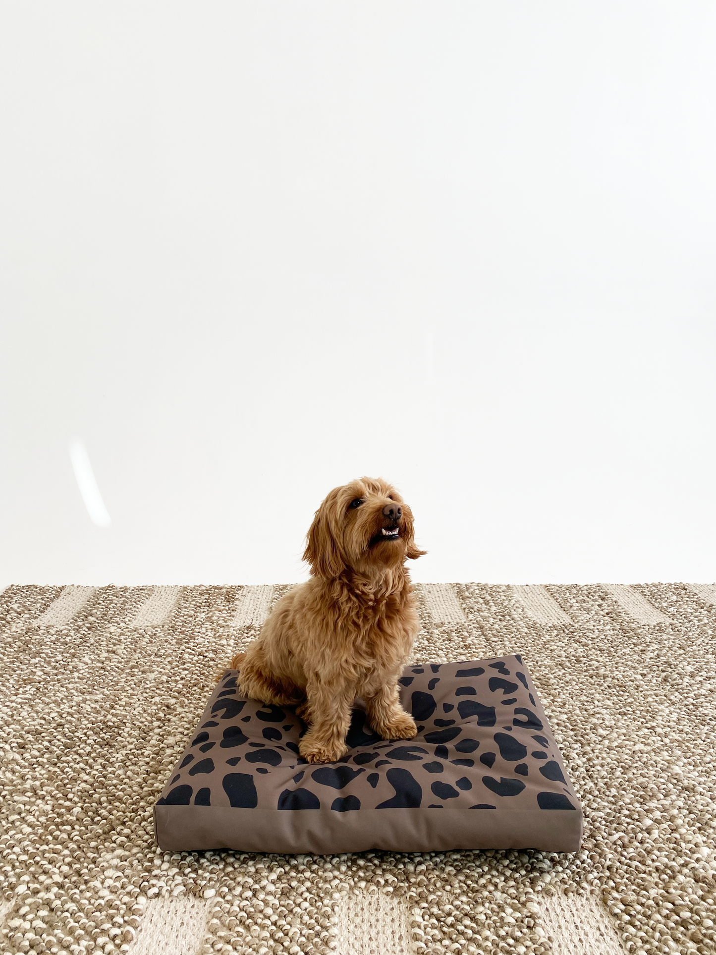 Wild Thing Pet Bed