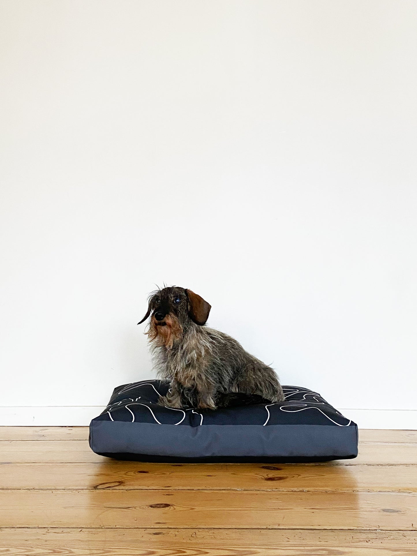 Dancing Shapes Pet Bed