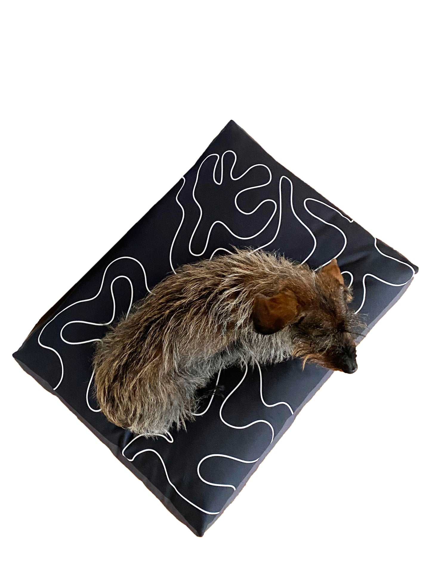 Dancing Shapes Pet Bed