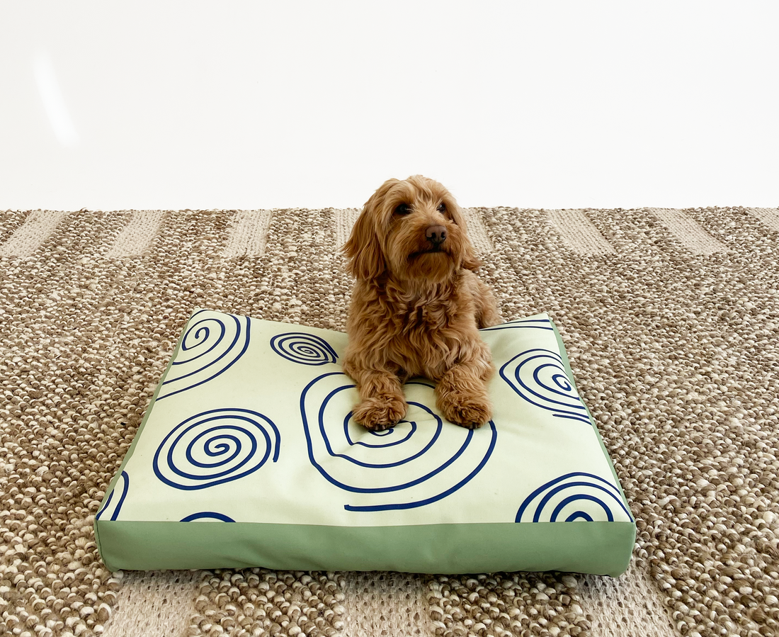 Unleash Comfort and Style: Introducing Our Stunning Collection of Designer Pet Beds!
