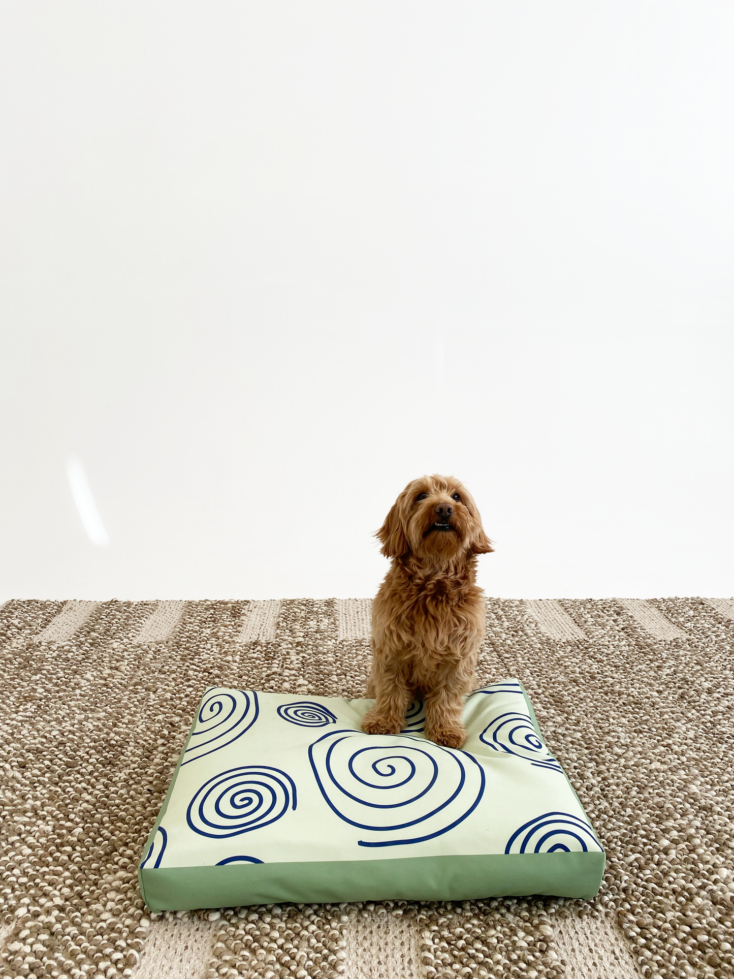 Twirls & Swirls Pet Bed